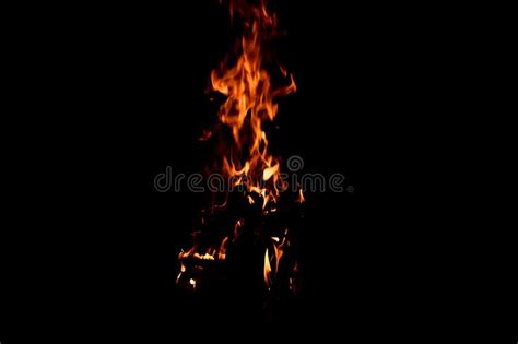 830 Firelight Stock Photos Free And Royalty Free Stock Photos From