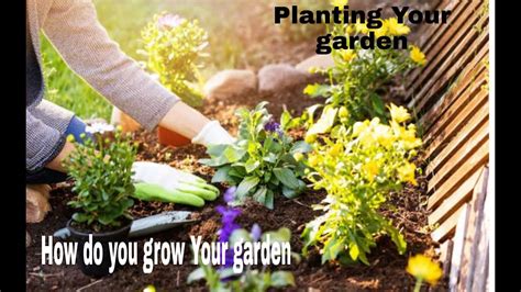 How Does Your Garden Grow Youtube