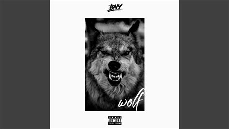 Wolf Youtube Music