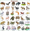 Learn English Vocabulary through Pictures: 500+ Animal Names | Animals ...