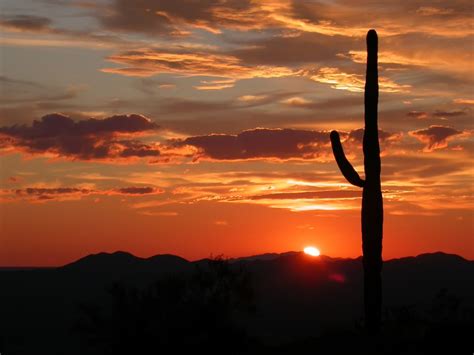 Free Images Landscape Nature Horizon Mountain Cactus Cloud Sun