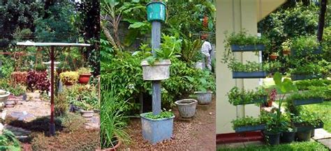 Vegetable Gardening For Beginners The Basics Of Planting Home