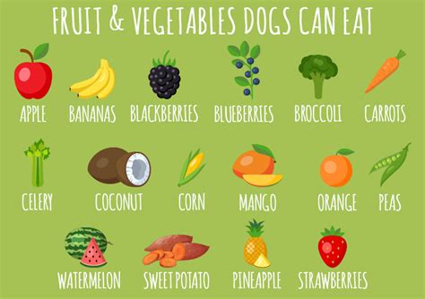 What Fruits And Vegetables Can Dogs Eat Food Safety For Pets Vlrengbr