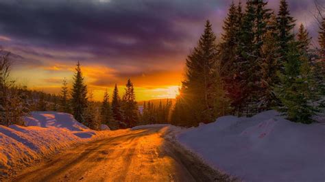 Winter Sunset Hd Wallpaper Background Image 1920x1080 Id701756