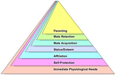 Maslows Hierarchy Of Needs Activity Pdf Latest Book Edition The