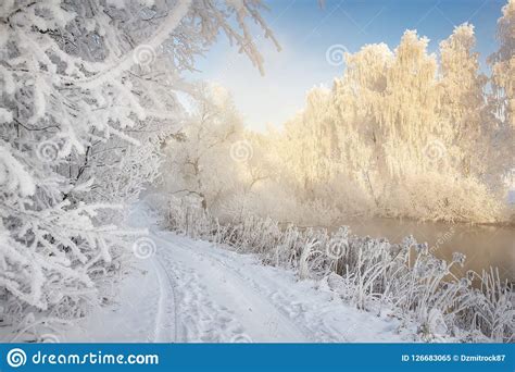 Frosty Winter Scene Winter Landscape In Morning Frost White Hoarfrost