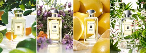 Jo malone 154 in stock and on sale at perfume.com. Beauty Perfume - Top 4 Jo Malone Fragrances To Recommend ...