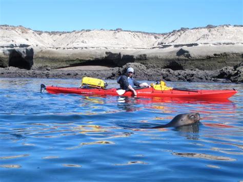 Sea Kayaking In Patagonia Chile Responsible Travel