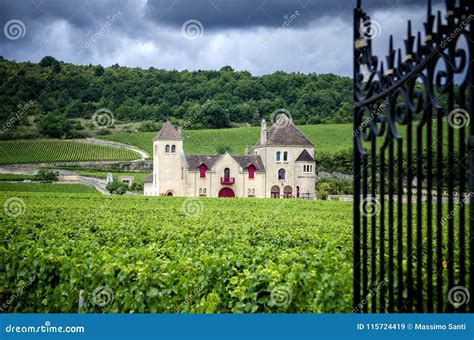 Chateau With Vineyards Burgundy France Stock Image Image Of