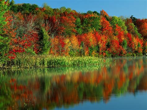 Morning Light Horseshoe Lake Adirondack Park And Preserve New York
