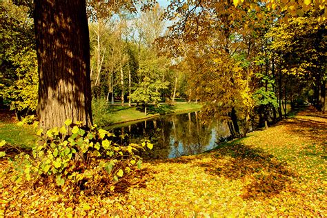 Fondos De Pantalla Estaciones Del Año Otoño Parque Ríos árboles Follaje