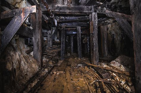 An Underground Forest Inside This Abandoned Mine Oc 5885x3923