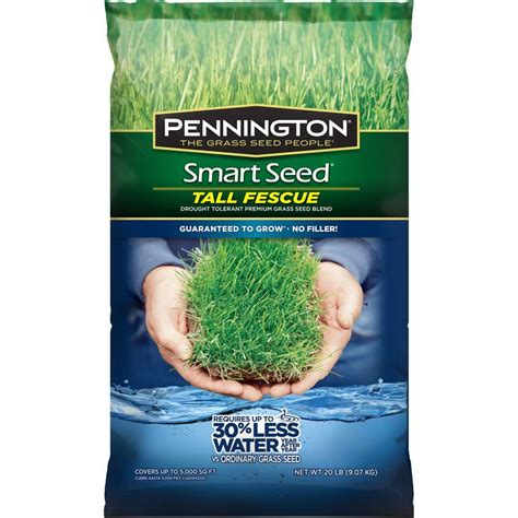 Best Tall Fescue Grass Seed For North Carolina Get More Anythink S