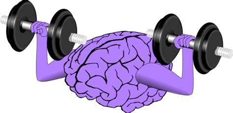 Free Brain Exercise Cliparts Download Free Brain Exercise Cliparts Png