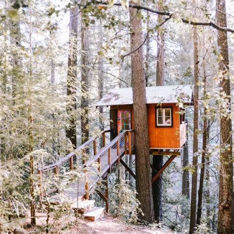 Vote For The Sanctuary Treehouse To Win Best Hipcamp Treehouse To Visit
