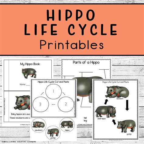 Hippo Life Cycle Printables Simple Living Creative Learning