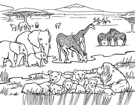 African Safari Coloring Pages At Free Printable