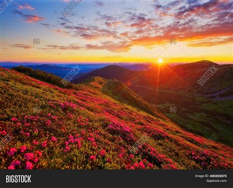 Majestic Summer Scene Image And Photo Free Trial Bigstock