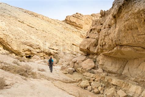 Hiking In Israeli Stone Desert Stock Image Colourbox