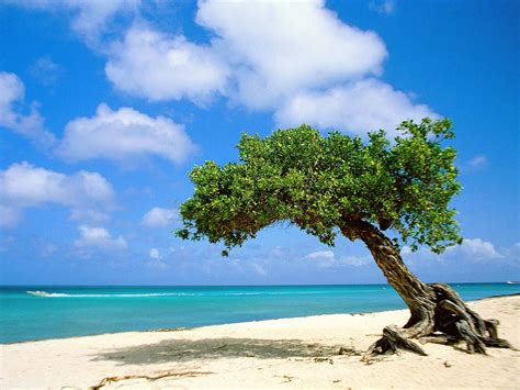 Aruba Second Most Beautiful Exotic Islands Kizie