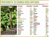 Il Calendario dell'Orto | Orto, Orto in giardino, Idee giardino orto