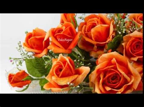 Le nostre rose di compleanno hanno bellissimi mazzi, composizioni floreali e persino vasi di rose. Tanti Auguri di Buon Compleanno! - YouTube