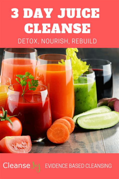 3 Day Juice Cleanse Detox Nourish Rebuild The Complete Plan