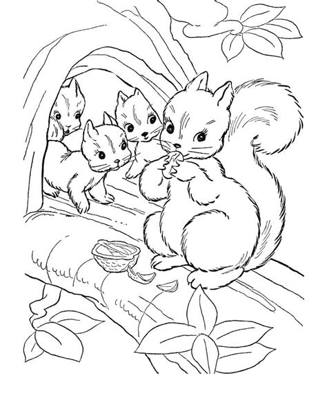 Forest Animals Coloring Pages At Free Printable