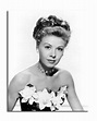 (SS2321800) Movie picture of Vera-Ellen buy celebrity photos and ...