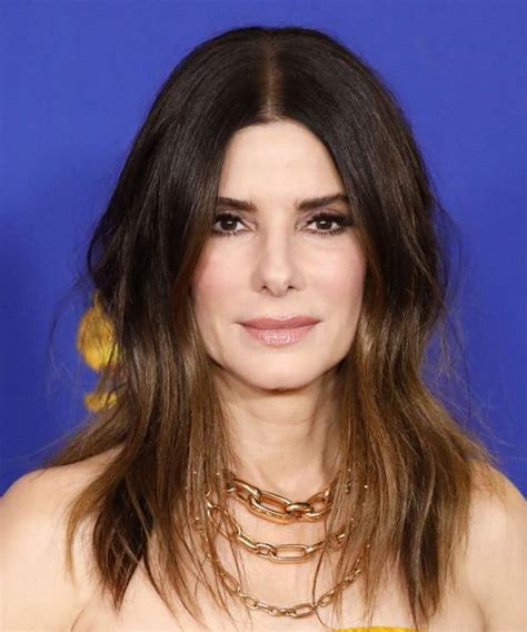 Sandra Bullock Long Straight Black And Brunette Two Tone Hairstyle