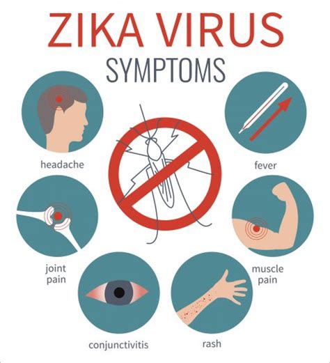 Zika Virus Myths Vs Facts Upmc Healthbeat