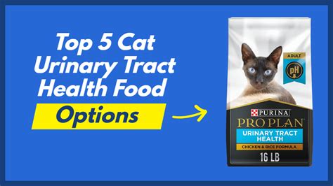 Top 5 Cat Urinary Tract Health Food Recommendations Self Cleaning