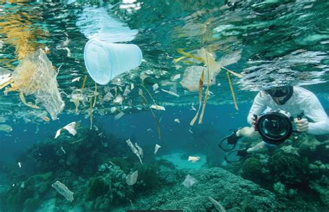5 Ways To Reduce Ocean Pollution Splash Inn Dive Resort