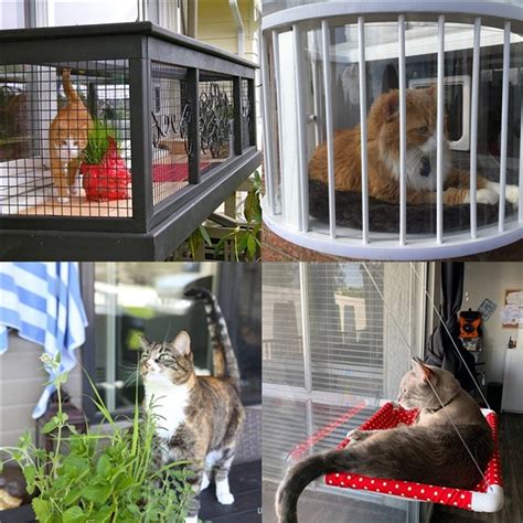 Add to wish list add to compare. 3 Safe Window Ideas for Cats: Window Box, Cat Solarium ...