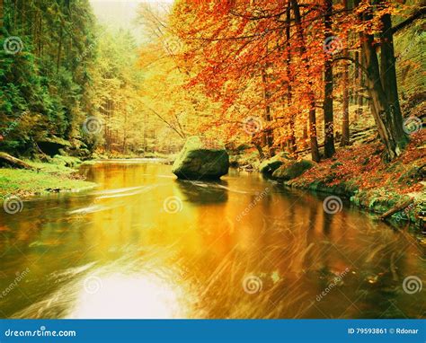 Autumn Colorful Forest Above Mountain River Water Under Leaves Trees