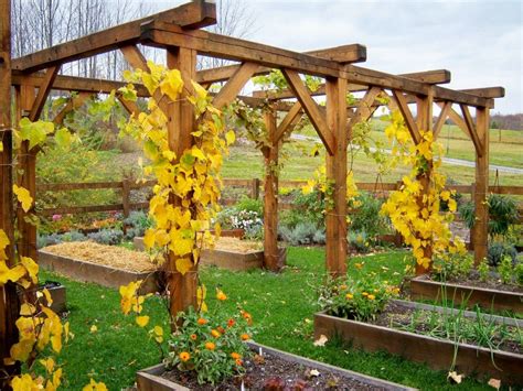 When it comes to learning how to build a grape arbor that is more complex, there are some great resources to help you. Wooden Trellis Design Plans | Chicdecorideas. | Grape ...