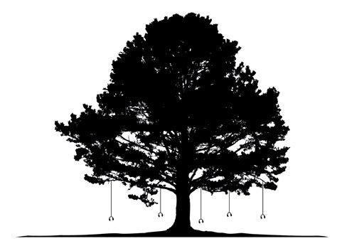 Tree Listening Alex Metcalf Artist Who Listens To Trees