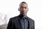 Who Is Mahershala Ali? 5 Things to Know About 'Moonlight' Star
