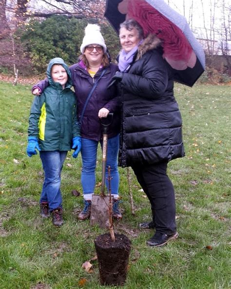 First Of 20000 District Trees Planted For Northern Forest