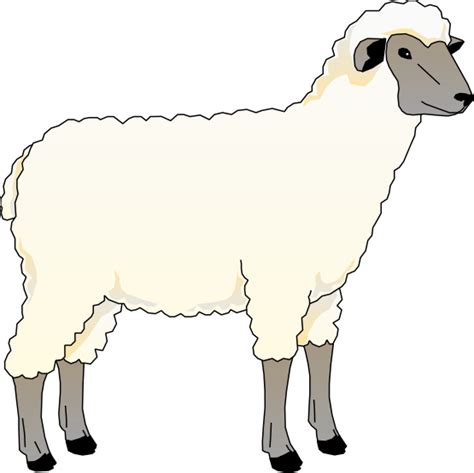 Download And Use Sheep Clipart Png Transparent Background Free