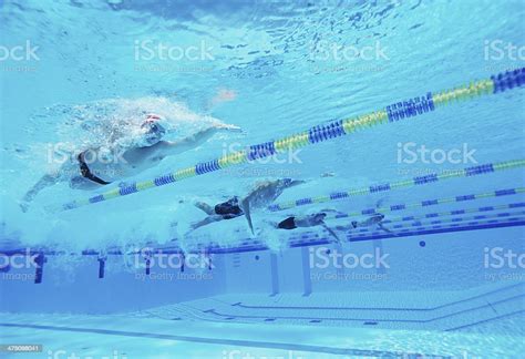 Underwater Shot Of Four Male Athletes Competing In Swimming Pool Stock