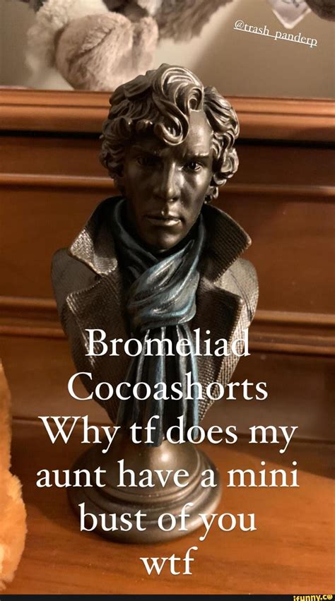 I Can Never Pronounce It Right Bromeliad Cocoashorts Why Tf Does