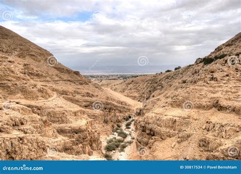 Hiking In Judean Stone Desert Stock Photo Image Of Middle Desert