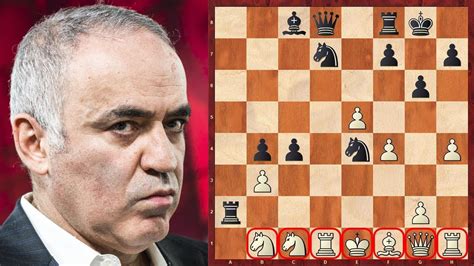 Garry Kasparov S Instagram Twitter And Facebook On Idcrawl