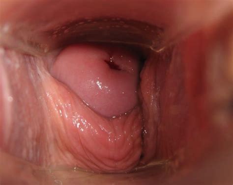 Camera Pics Penis Inside Vagina Telegraph