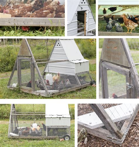 How To Build A Mobile A Frame Chicken Tractor Why Pastured Chickens