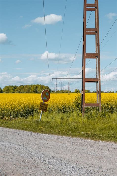 Abandoned Power Lines Runs Through Farm Field Of Yellow Rapeseed Canola