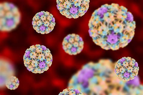 Cancers Caused By Hpv Respond Better To Treatment — A New Study Helps