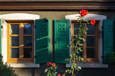 Ed Roses On Framework Facade With Window Green Shutters Stock Photo