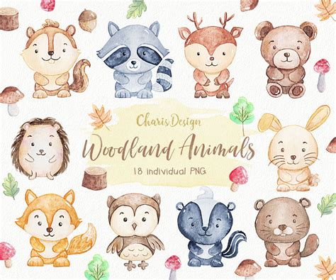 Woodland Animal Illustration Watercolor Clipart Nursery Forest Etsy